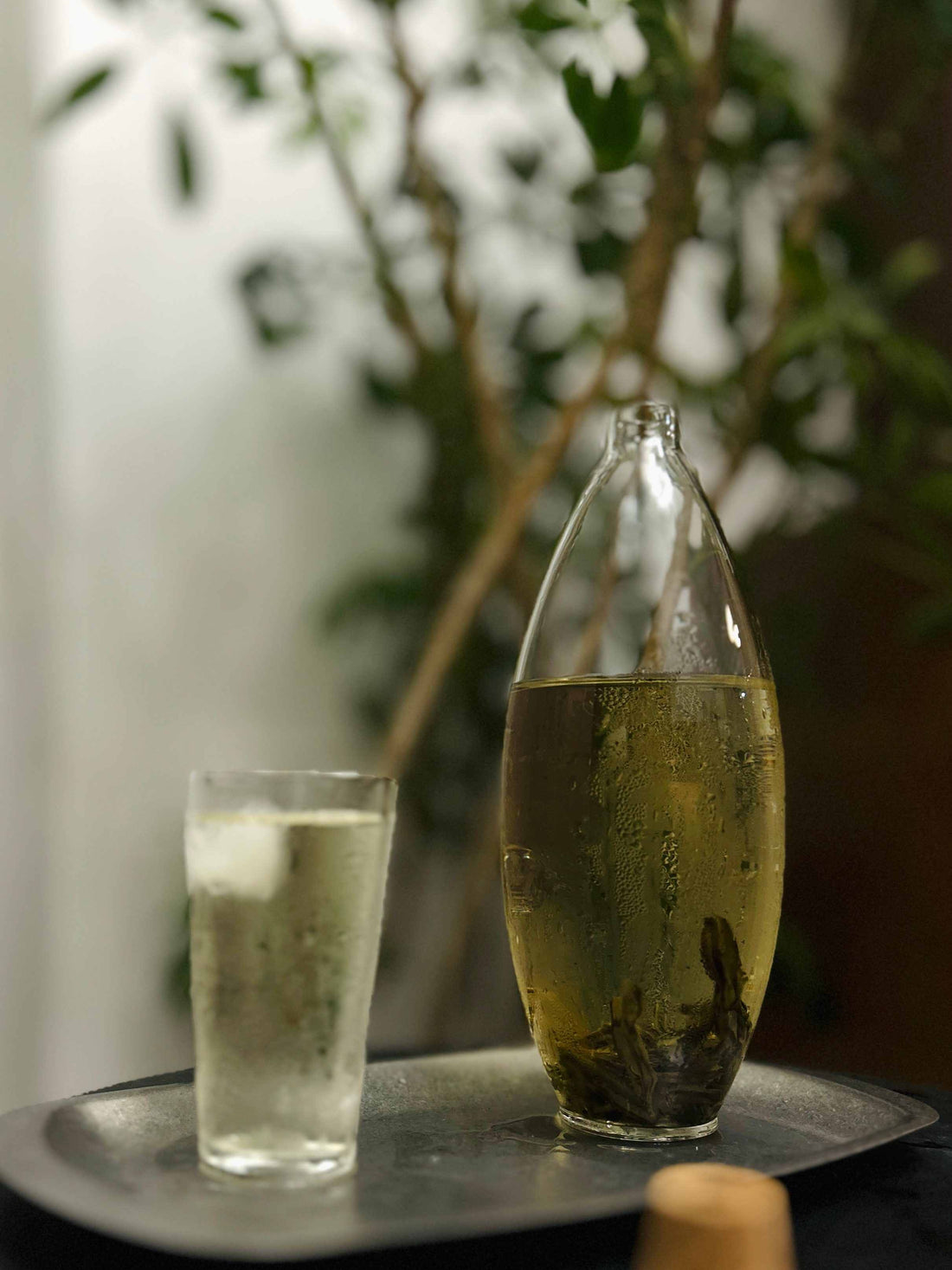 Foolproof & Refreshing: Phoenix Dancong Cold Brew