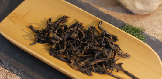 Cassia Aroma Dan Cong: The Spicy and Alluring Charmer of Phoenix Mountain