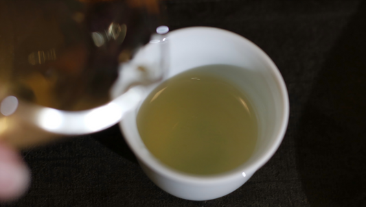 The 5-Step Tasting Method: Appreciate Phoenix Dancong Like a Connoisseur