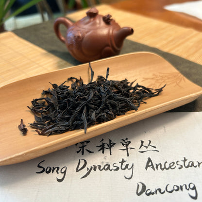 Song Dynasty Ancestor Dancong Oolong Tea
