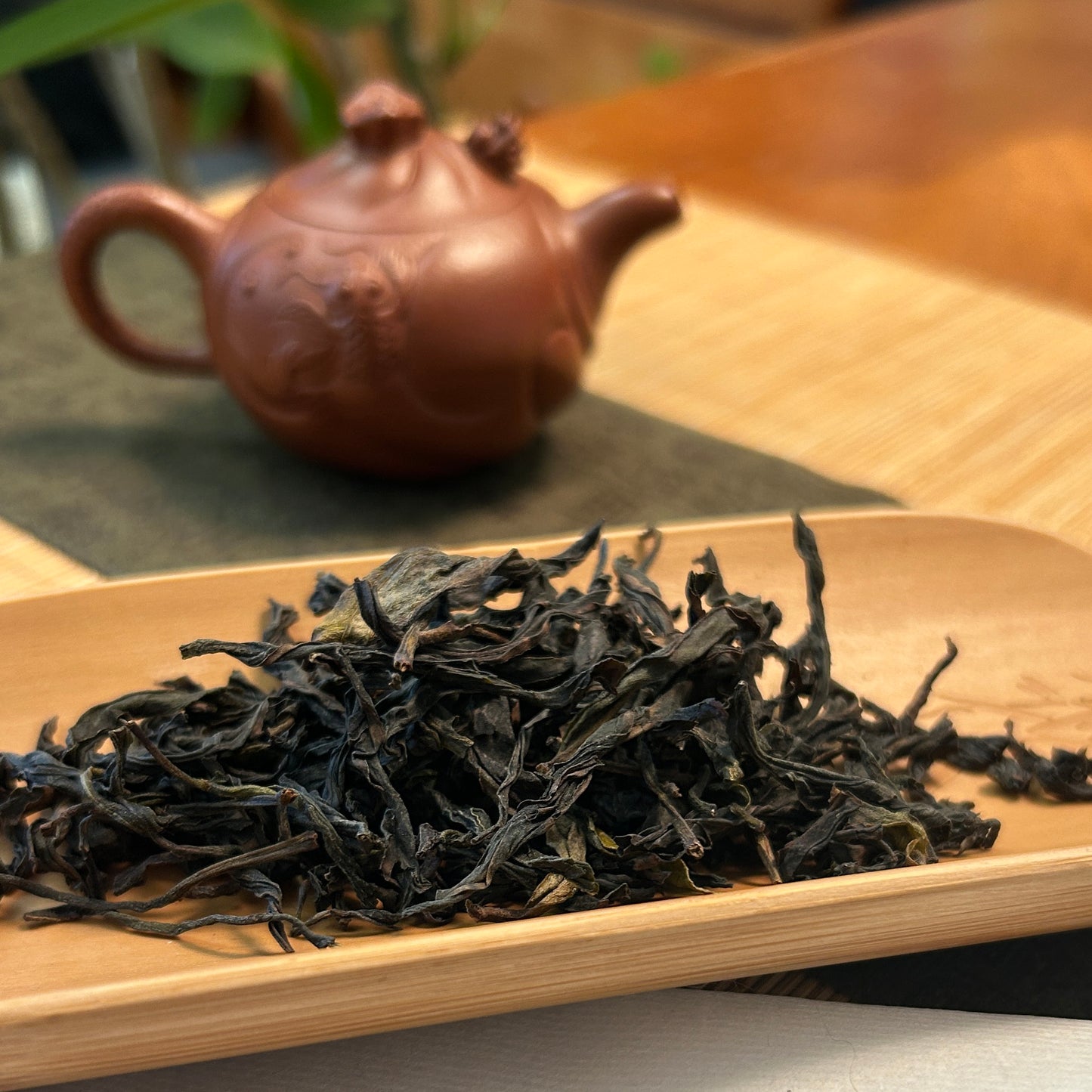 Magnolia-Petal Dancong Oolong Tea
